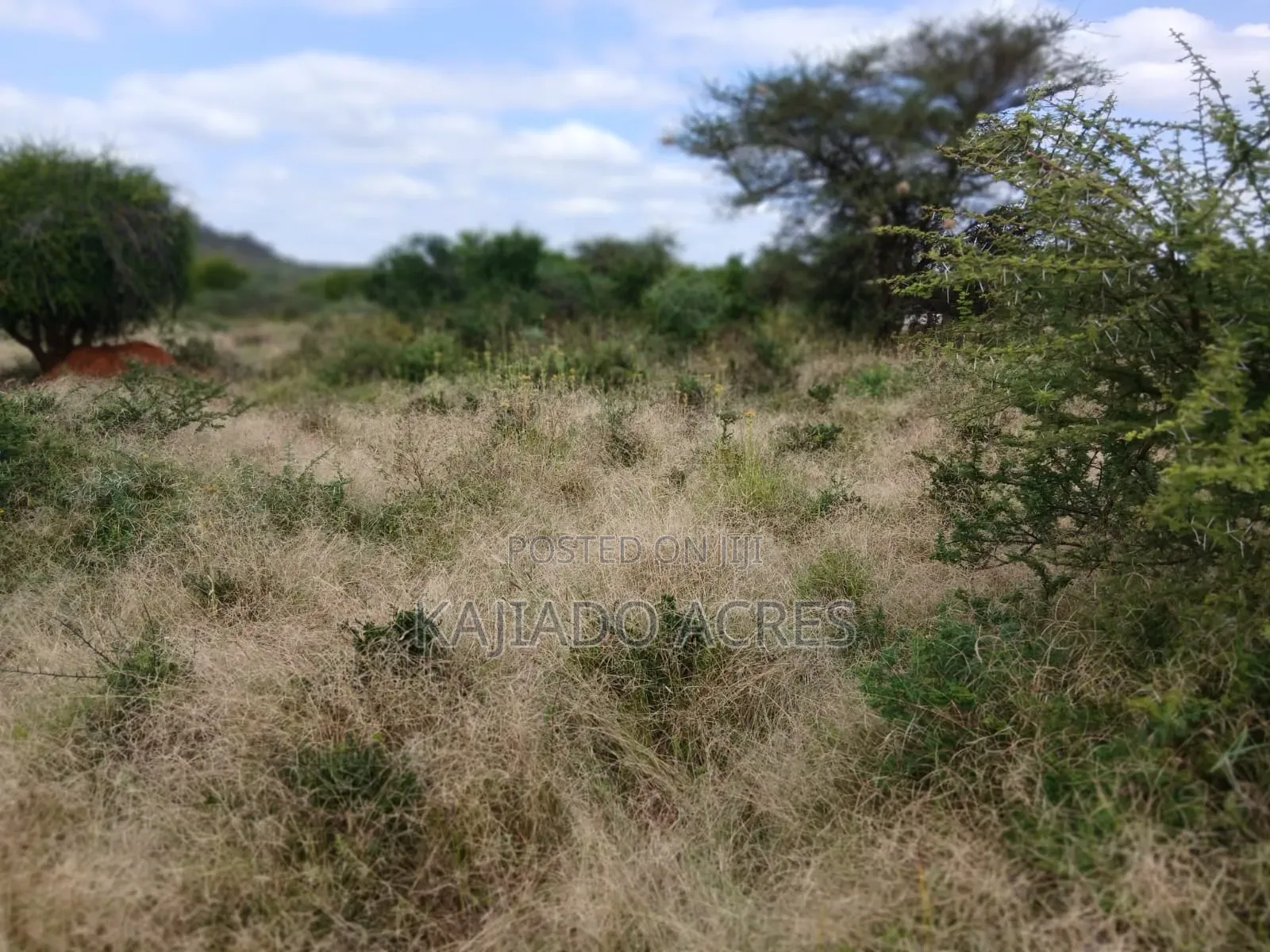 38 Acres Nguyan at Per Acre