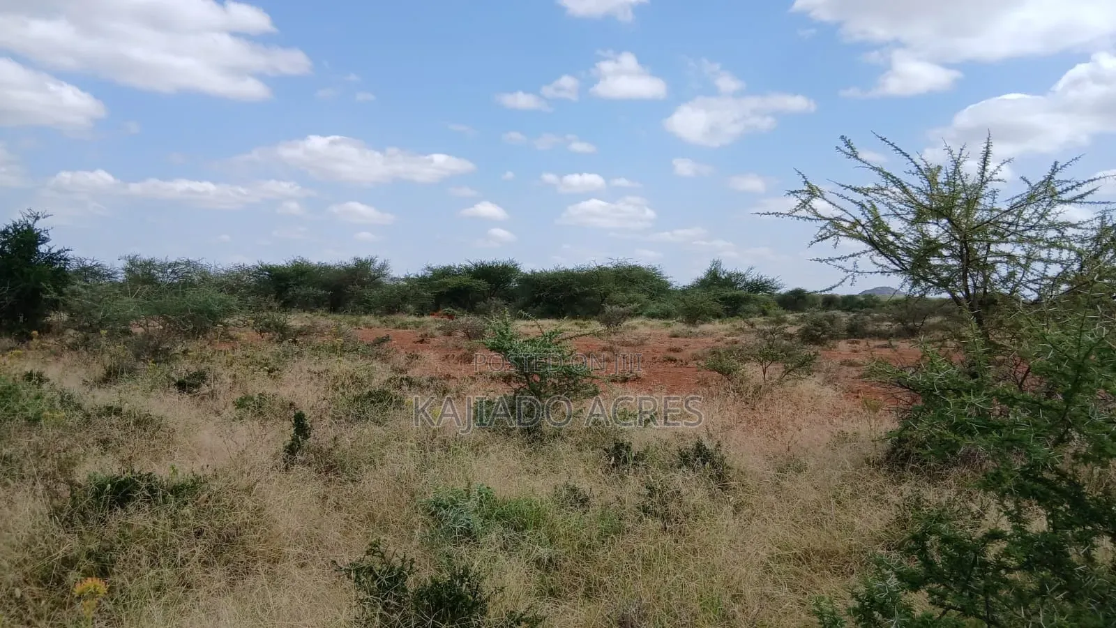 38 Acres Nguyan at Per Acre