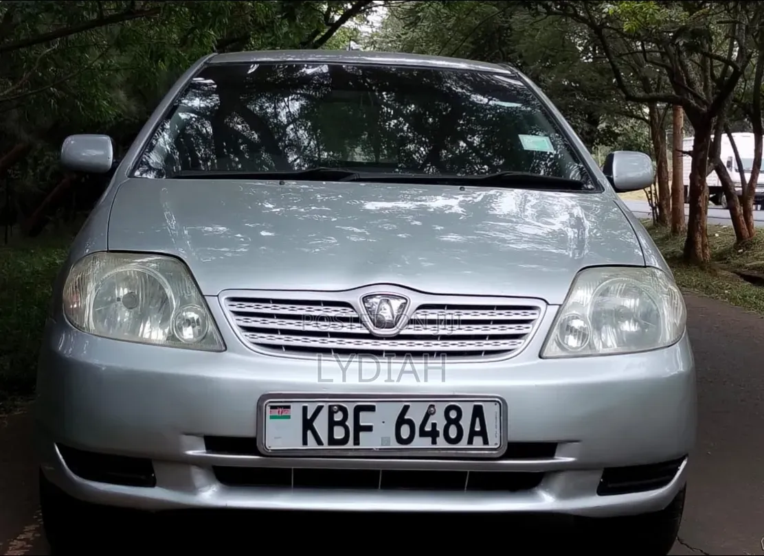 Toyota Allex 2002 Silver