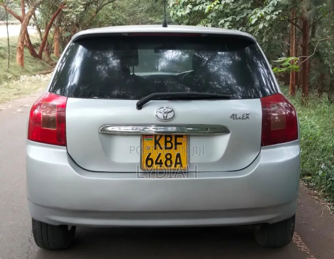 Toyota Allex 2002 Silver
