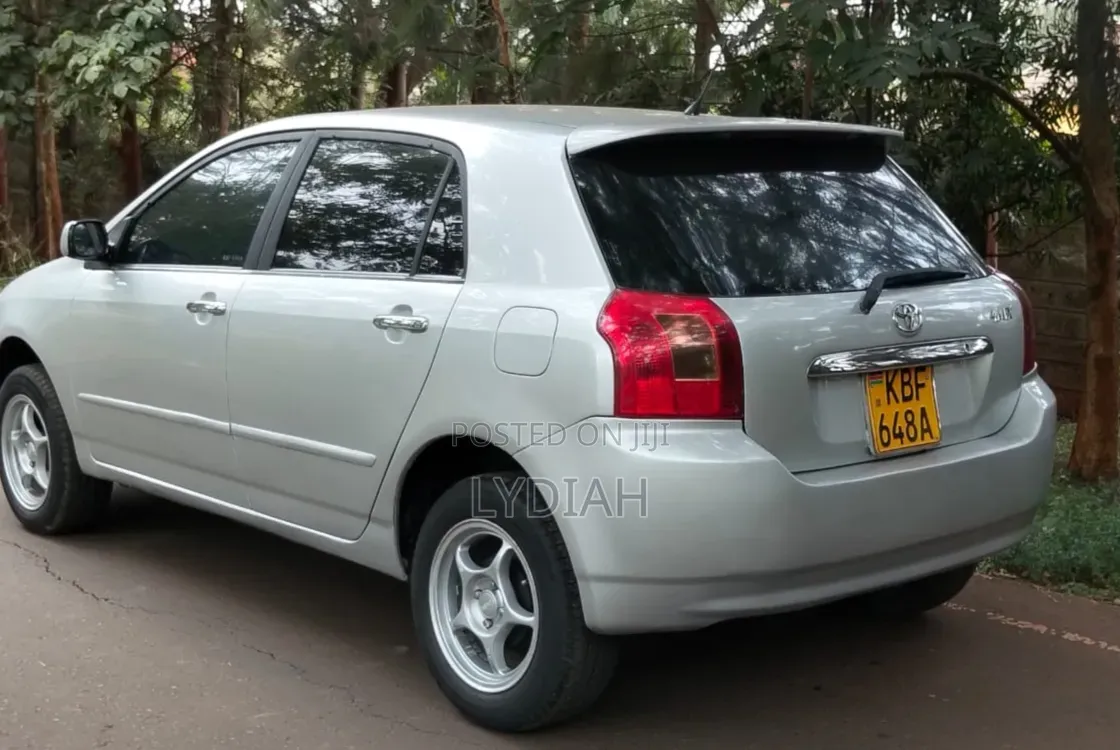 Toyota Allex 2002 Silver