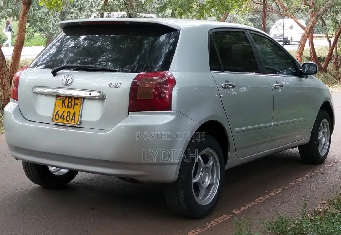 Toyota Allex 2002 Silver
