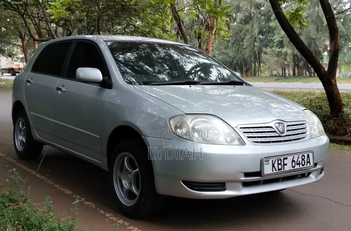 Toyota Allex 2002 Silver