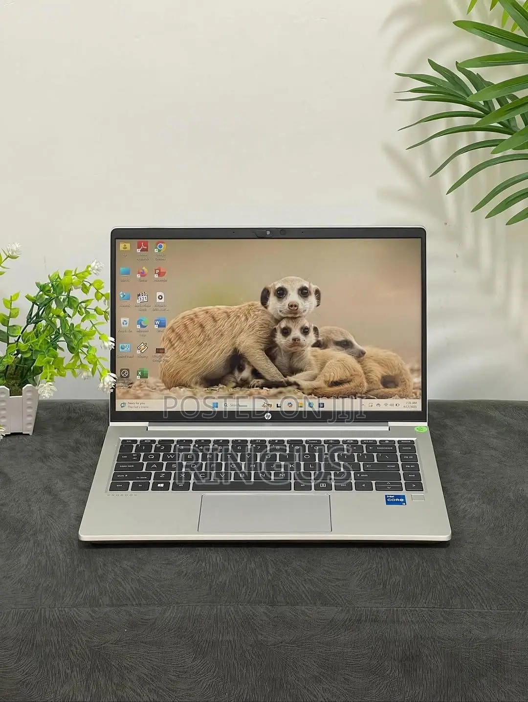 New Laptop HP ProBook 640 G8 8GB Intel Core i5 SSD 256GB