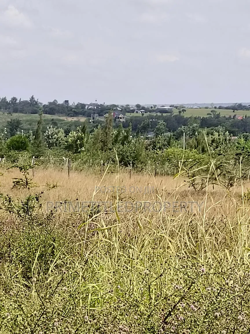5.5 Acres at Mua Hills Just 1.5 Km Off the Tarmac Road