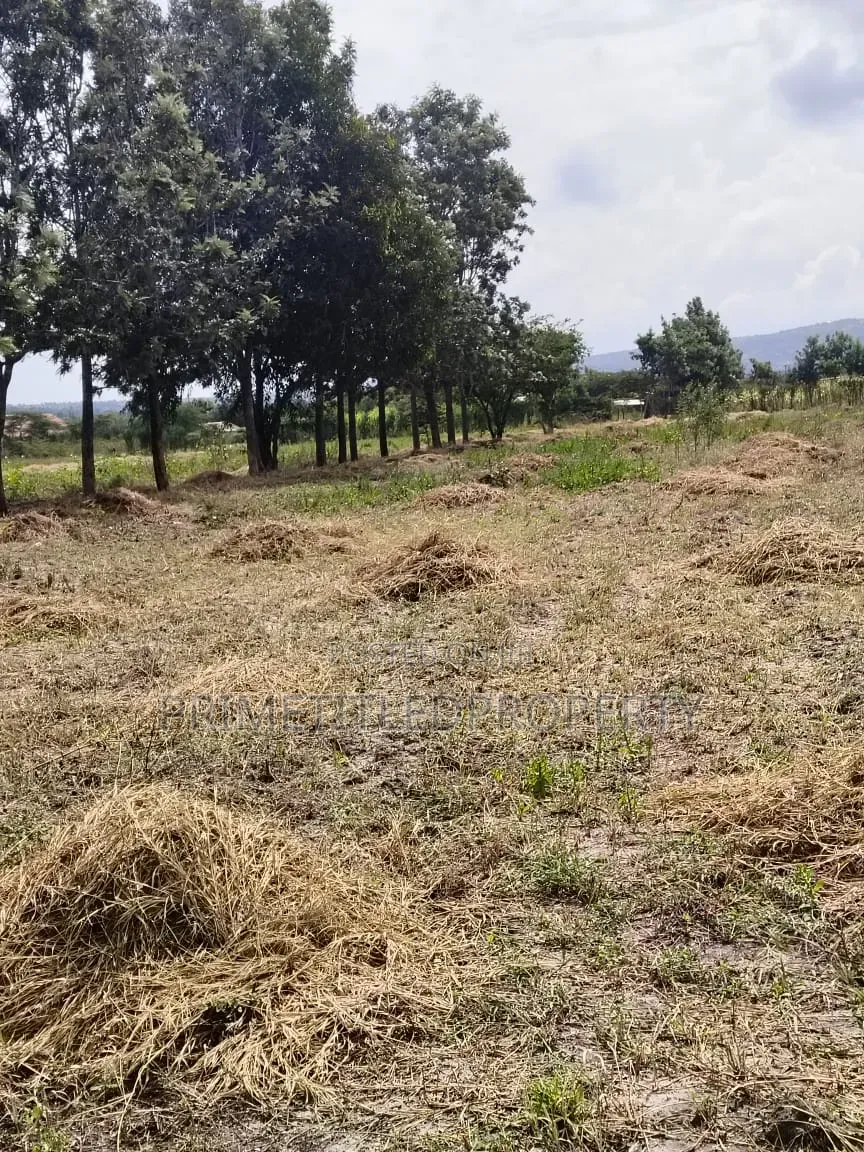 5.5 Acres at Mua Hills Just 1.5 Km Off the Tarmac Road