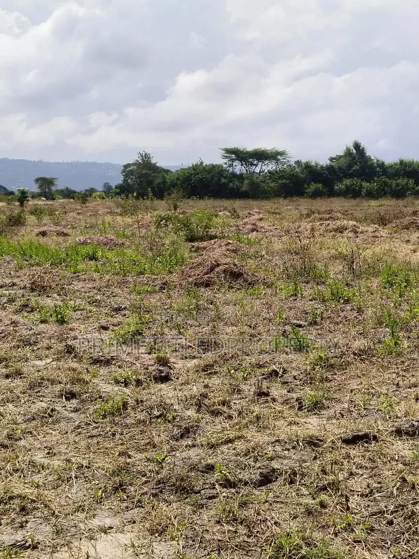 5.5 Acres at Mua Hills Just 1.5 Km Off the Tarmac Road