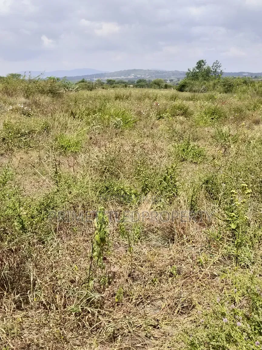 5.5 Acres at Mua Hills Just 1.5 Km Off the Tarmac Road