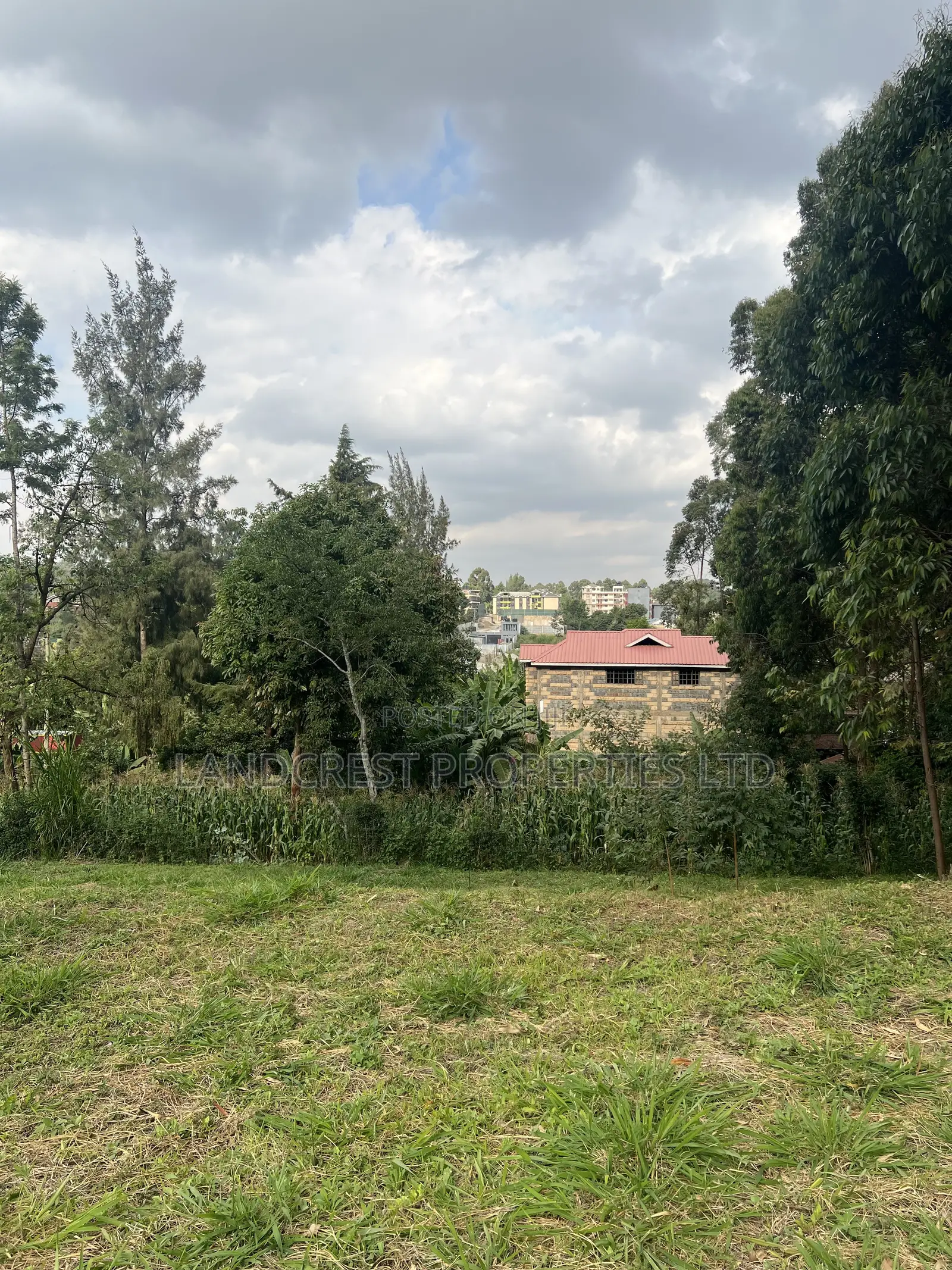 Prime 1/8 Acre for Sale  Kikuyu, Gikambura