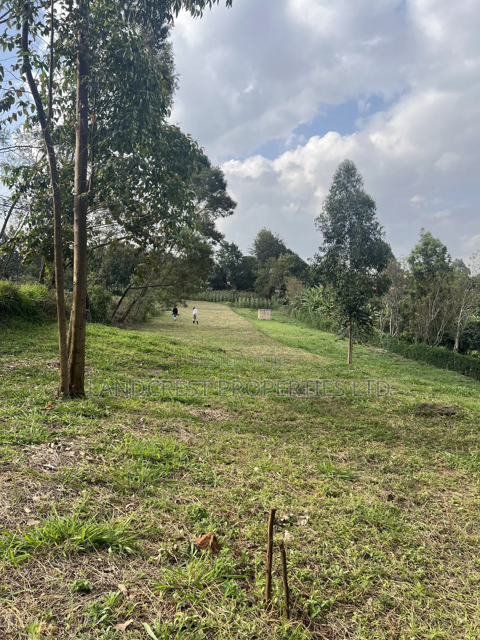Prime 1/8 Acre for Sale  Kikuyu, Gikambura