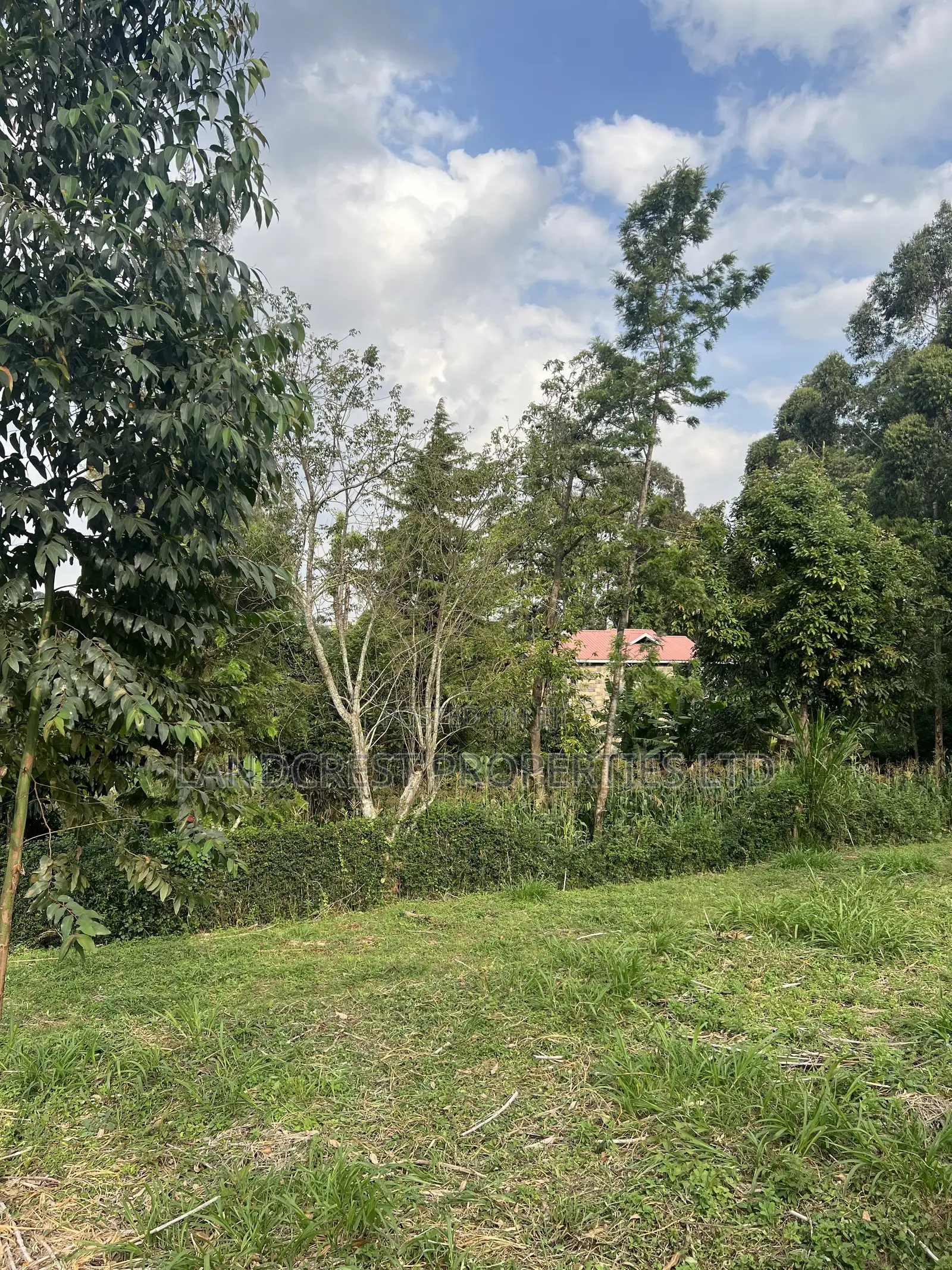 Prime 1/8 Acre for Sale  Kikuyu, Gikambura