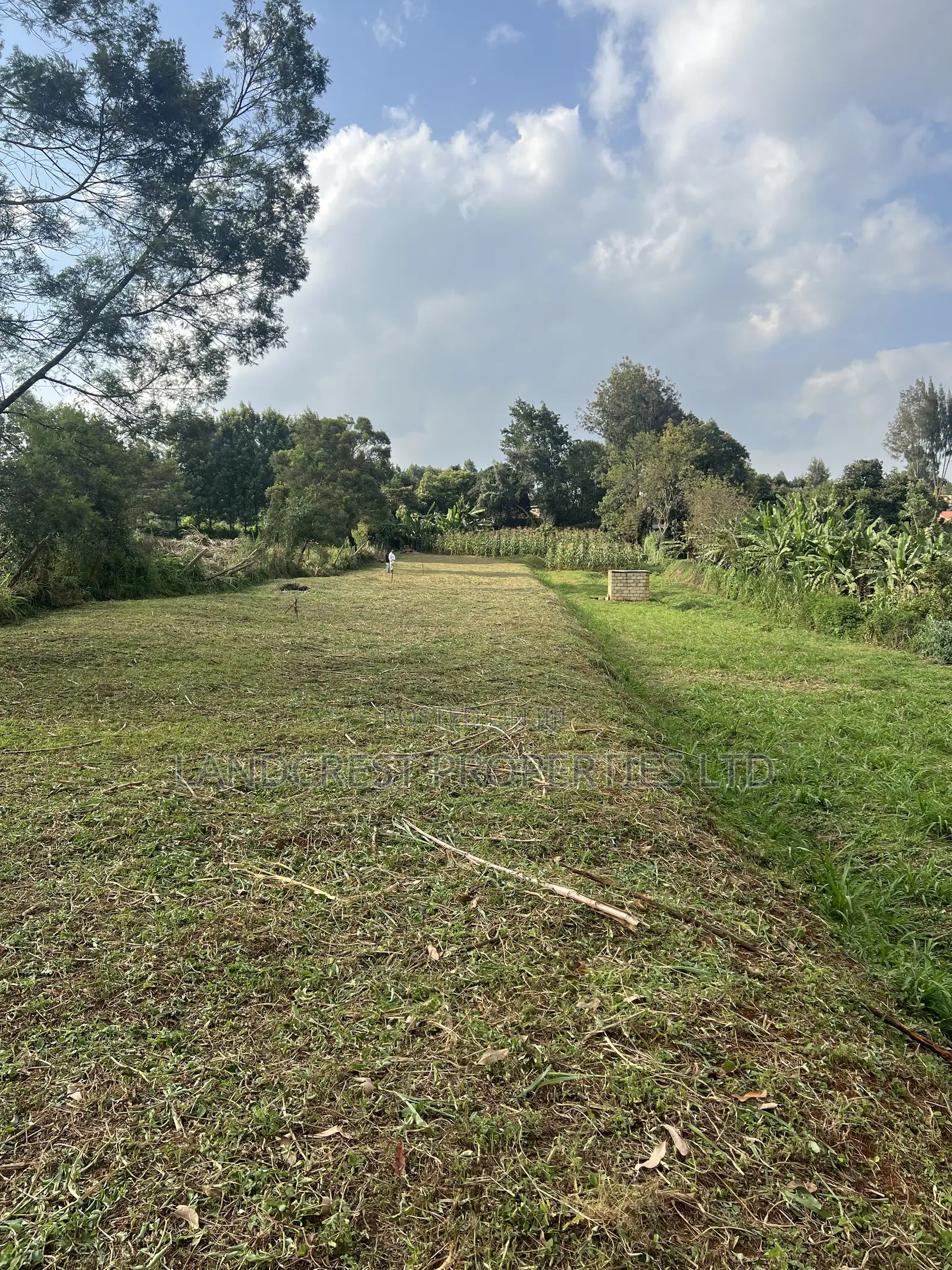 Prime 1/8 Acre for Sale  Kikuyu, Gikambura