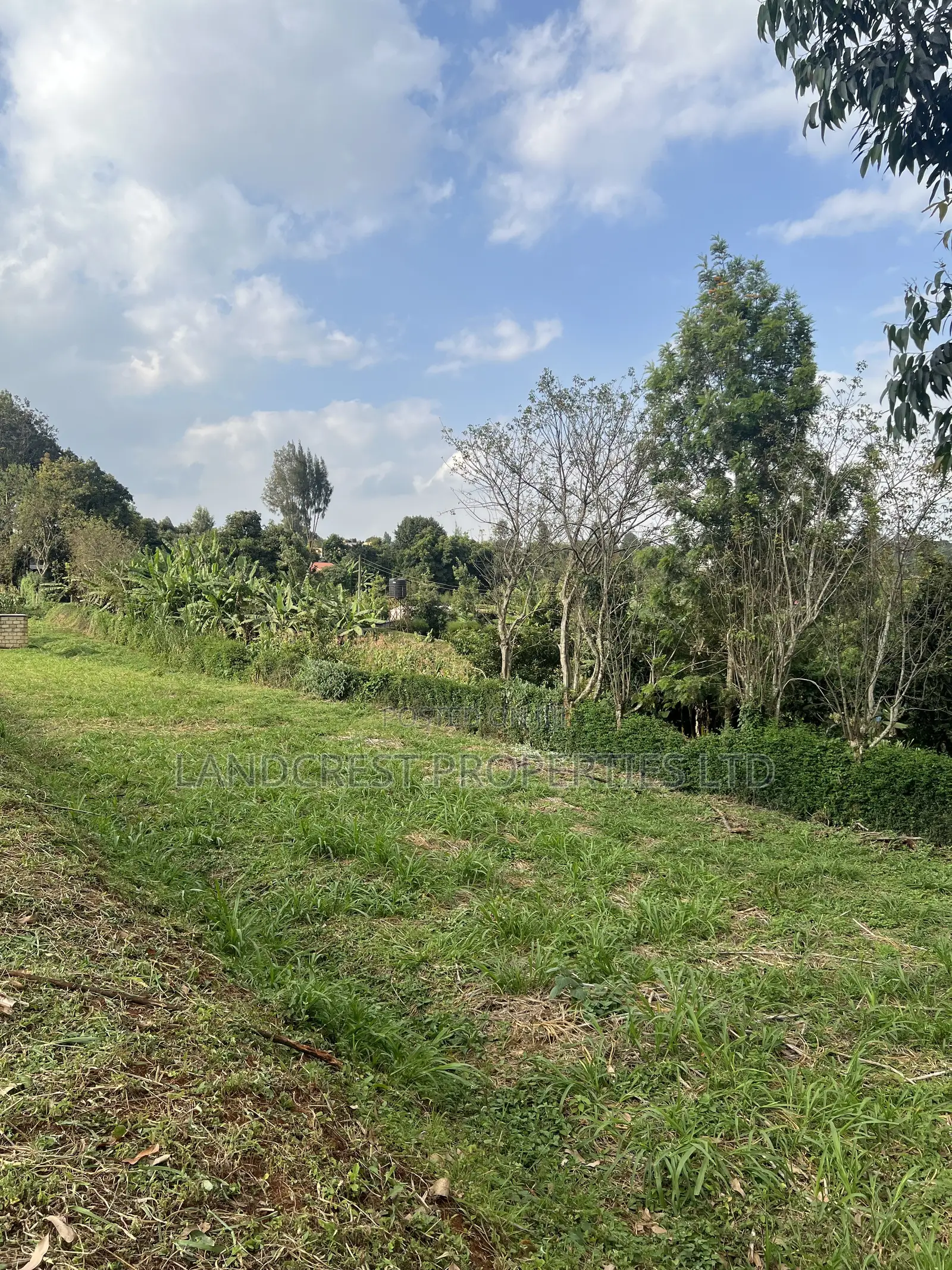 Prime 1/8 Acre for Sale  Kikuyu, Gikambura