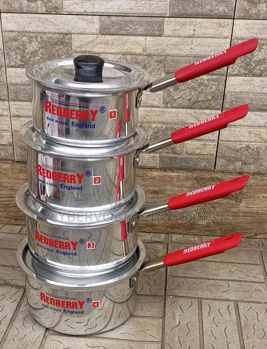 Redberry Stainless Steel Saucepan Set (4 Pieces)