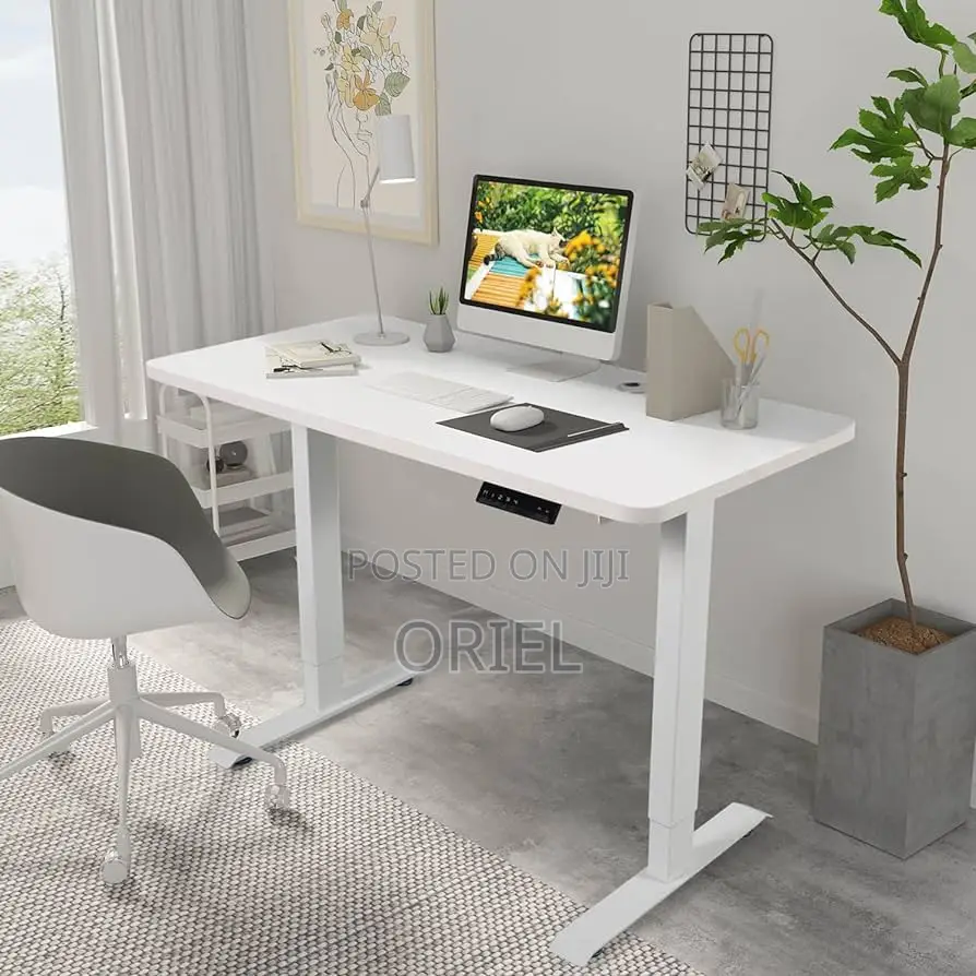 Office Desk :White 120cm Electric Height Adjustable Sit-Stand Desk