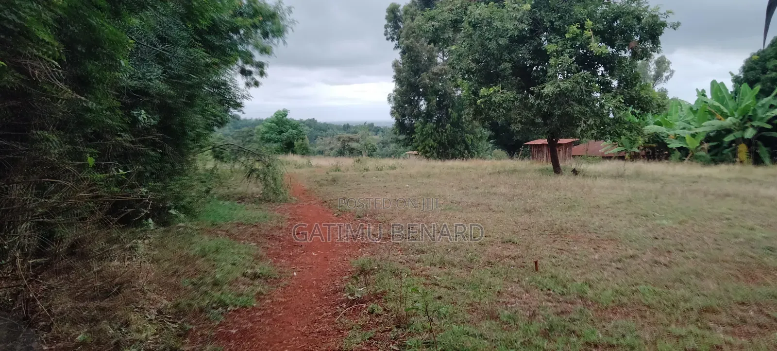 Fertile 2 Acres Agricultural Land Available for Lease, 5 Years