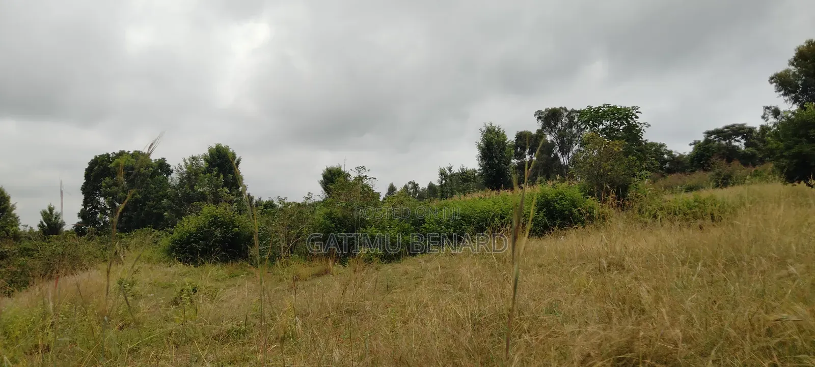 Fertile 2 Acres Agricultural Land Available for Lease, 5 Years