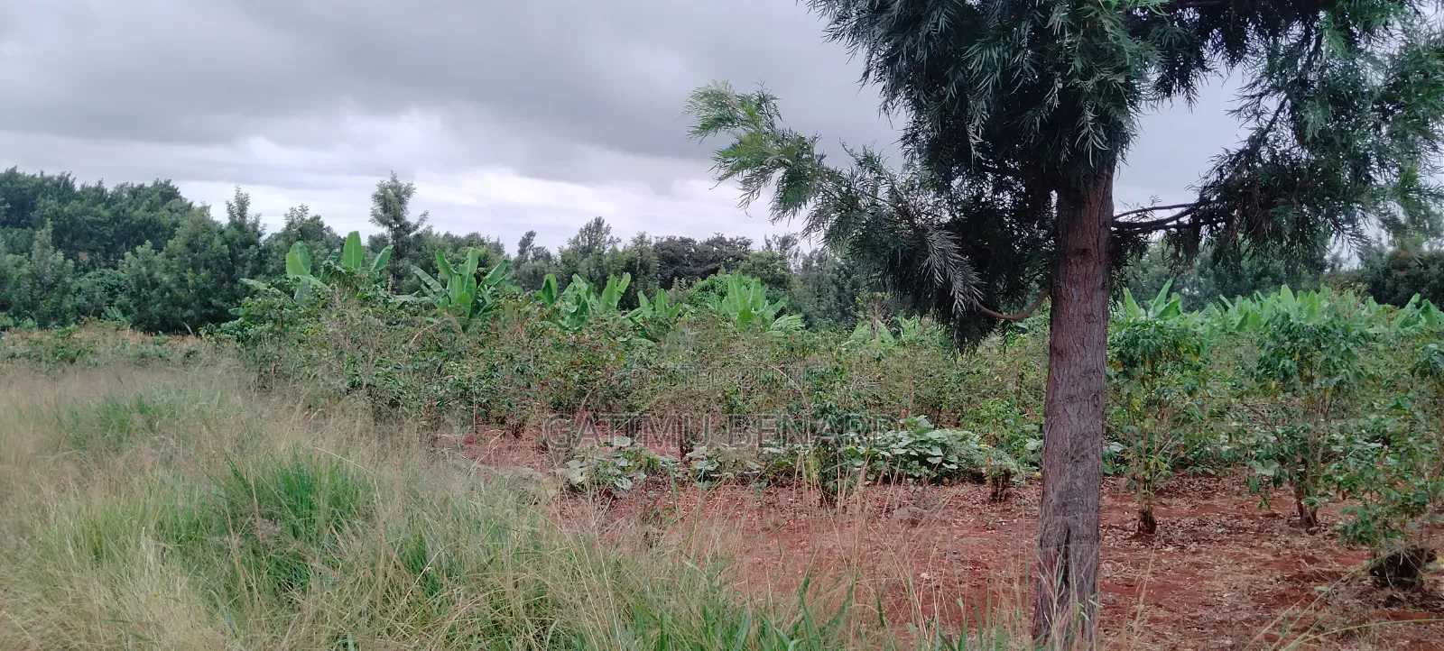 Fertile 2 Acres Agricultural Land Available for Lease, 5 Years