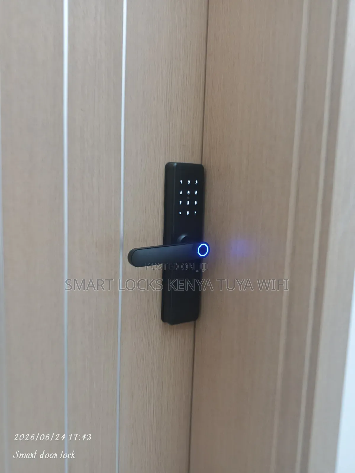 Smart Biometric Smart Lock Tuya Wifi App Fingerprint