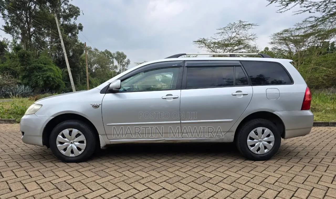 Toyota Corolla Fielder 2006 Silver