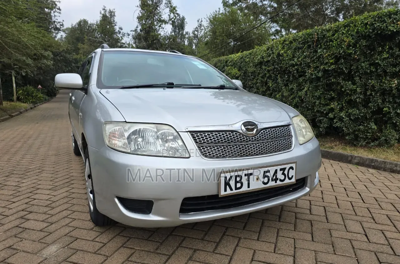 Toyota Corolla Fielder 2006 Silver