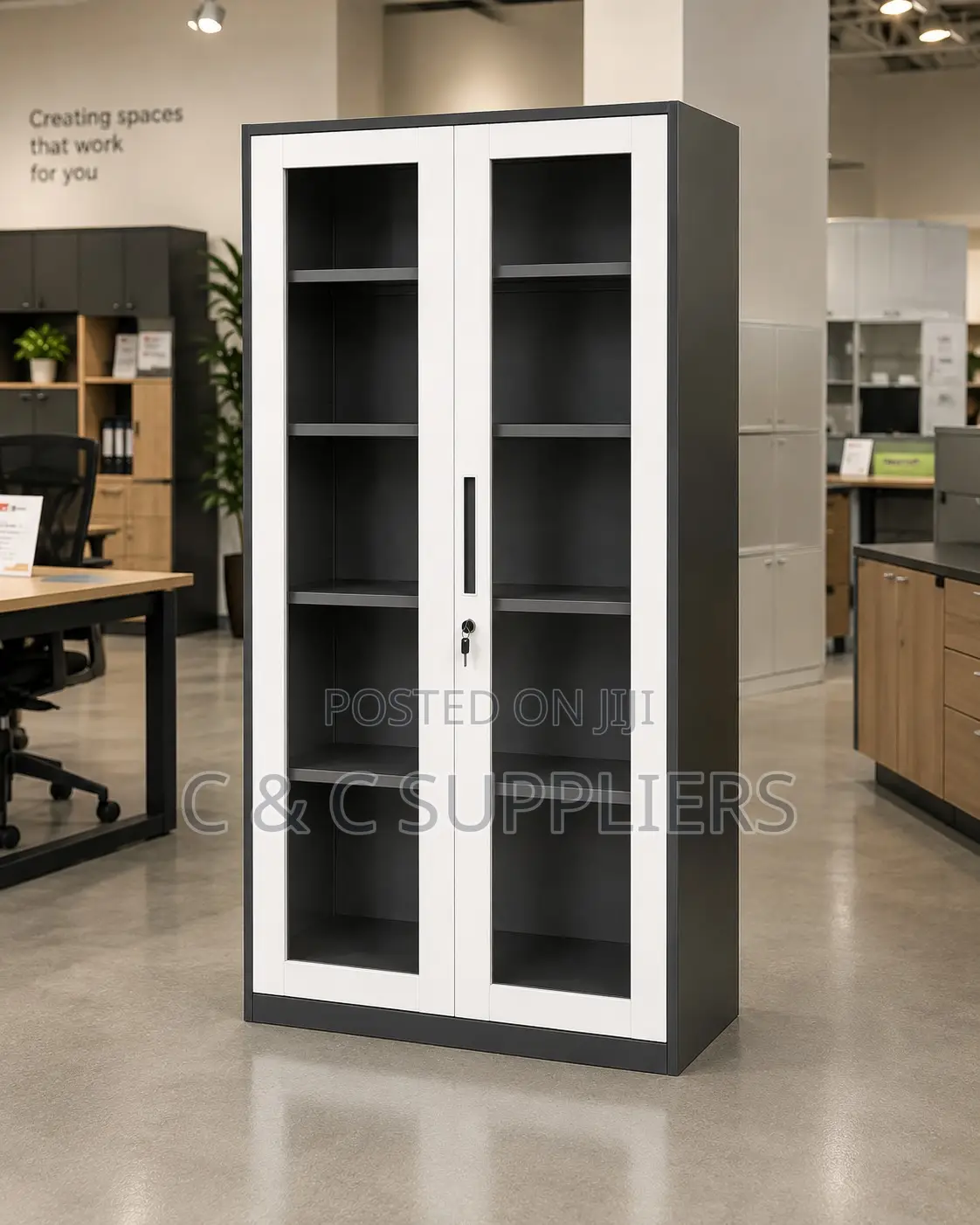 2-Door Modern Storage Unit