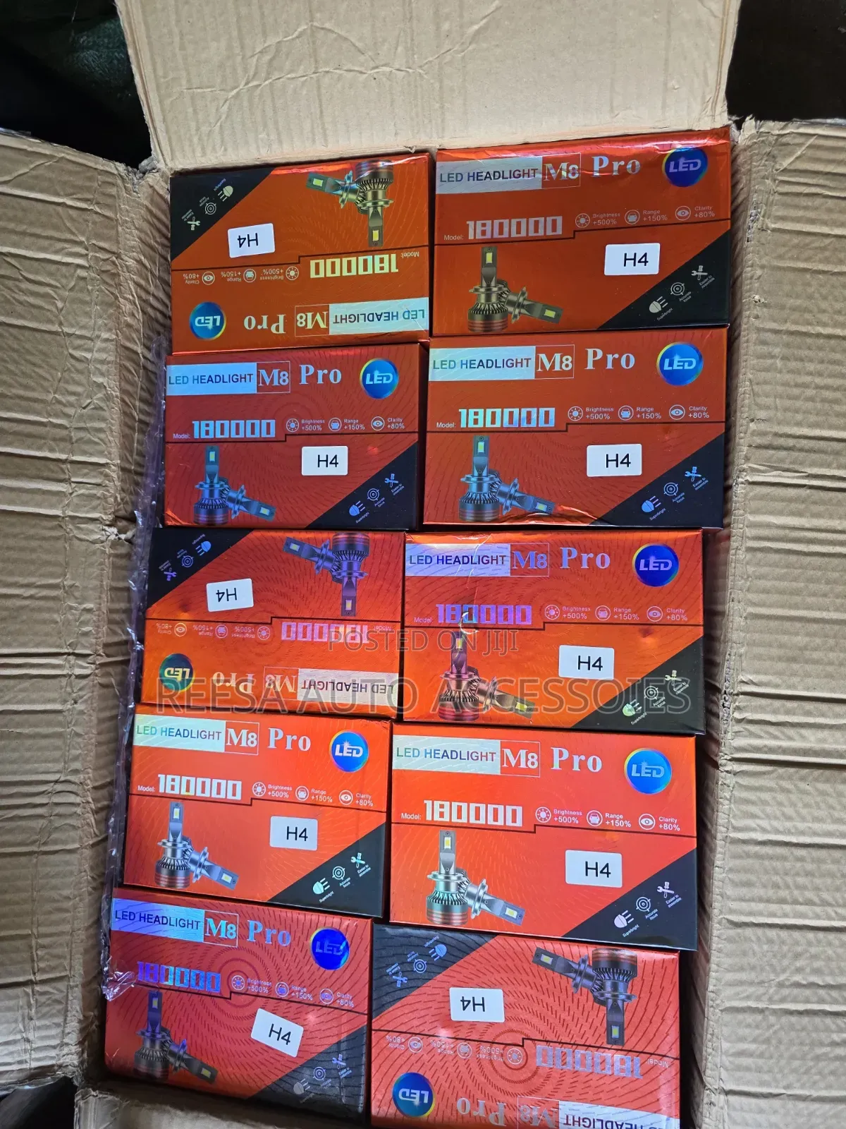 M8 Bulbs Available