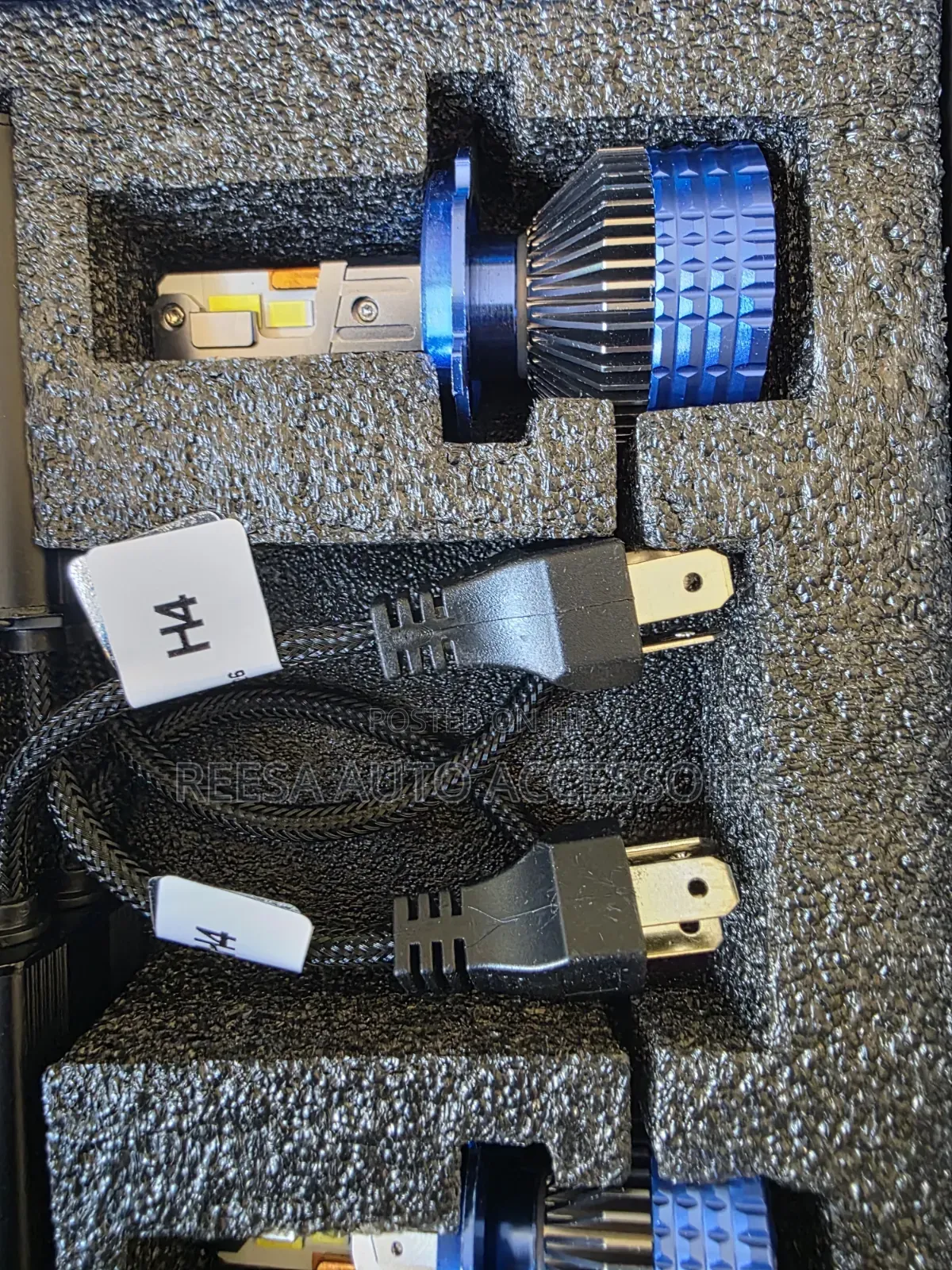 M8 Bulbs Available