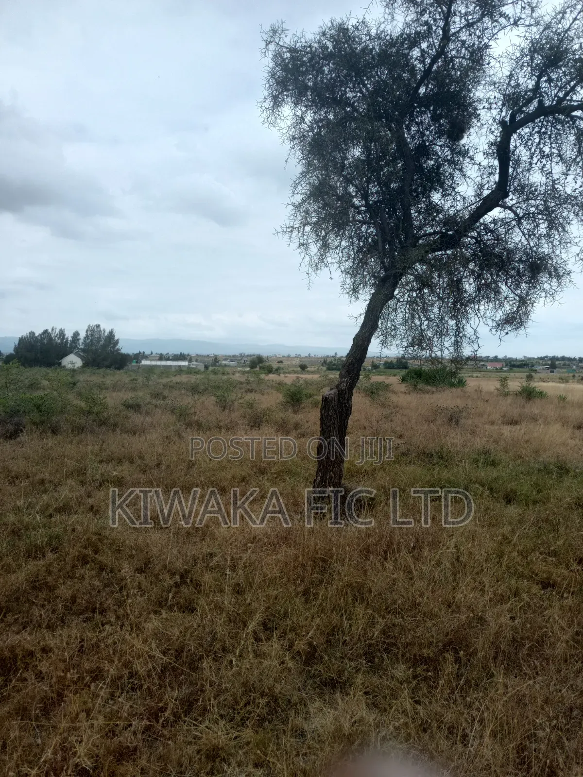 57 Acres of Land in Malaa Machakos County