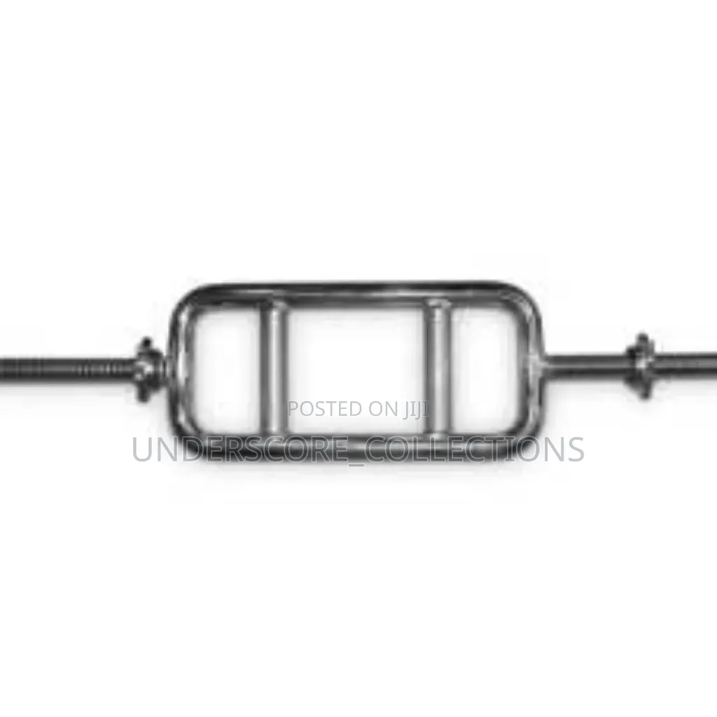 Chrome Tricep Bar