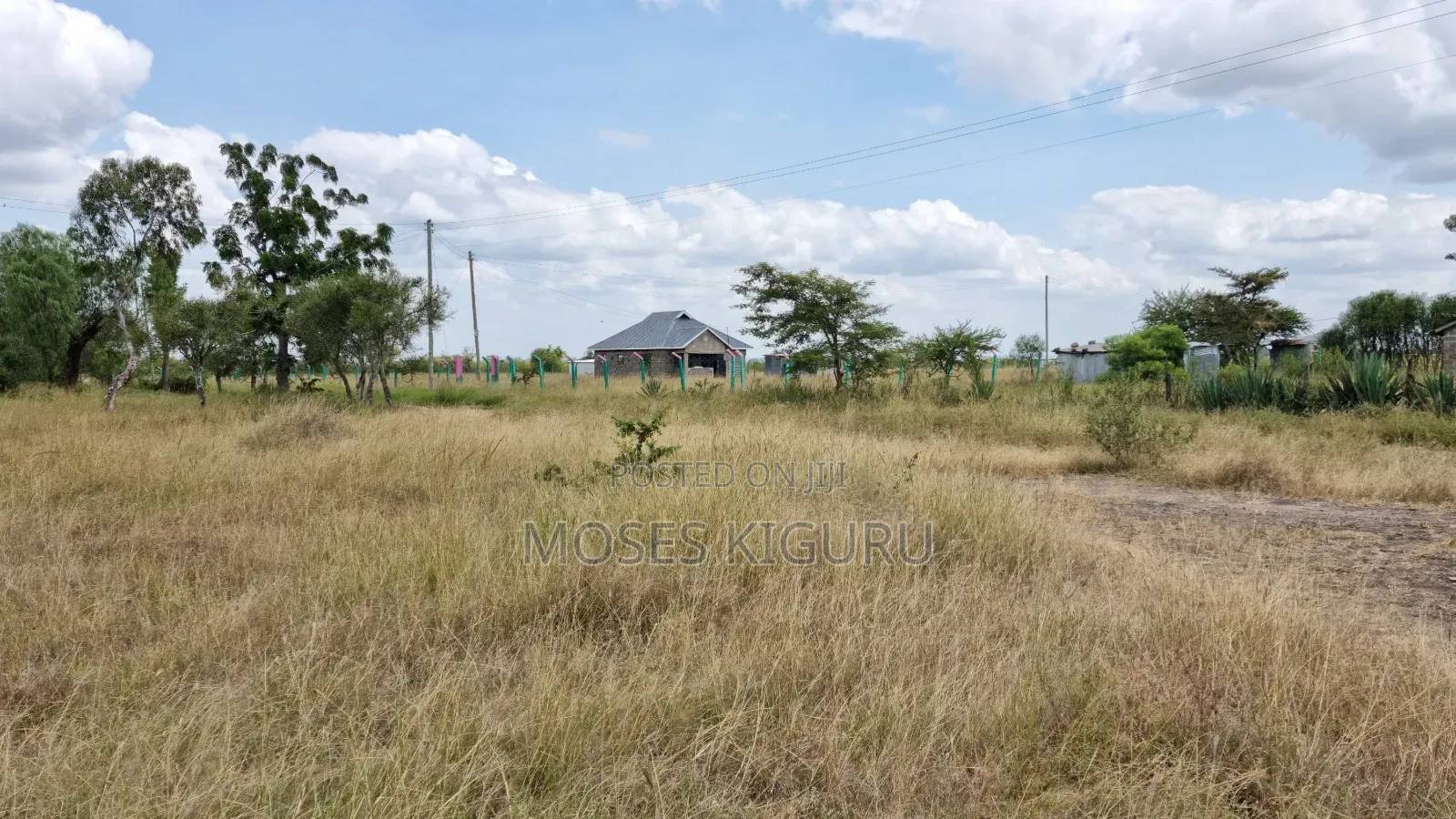 Jujafarm 50x80 Plots for Sale.