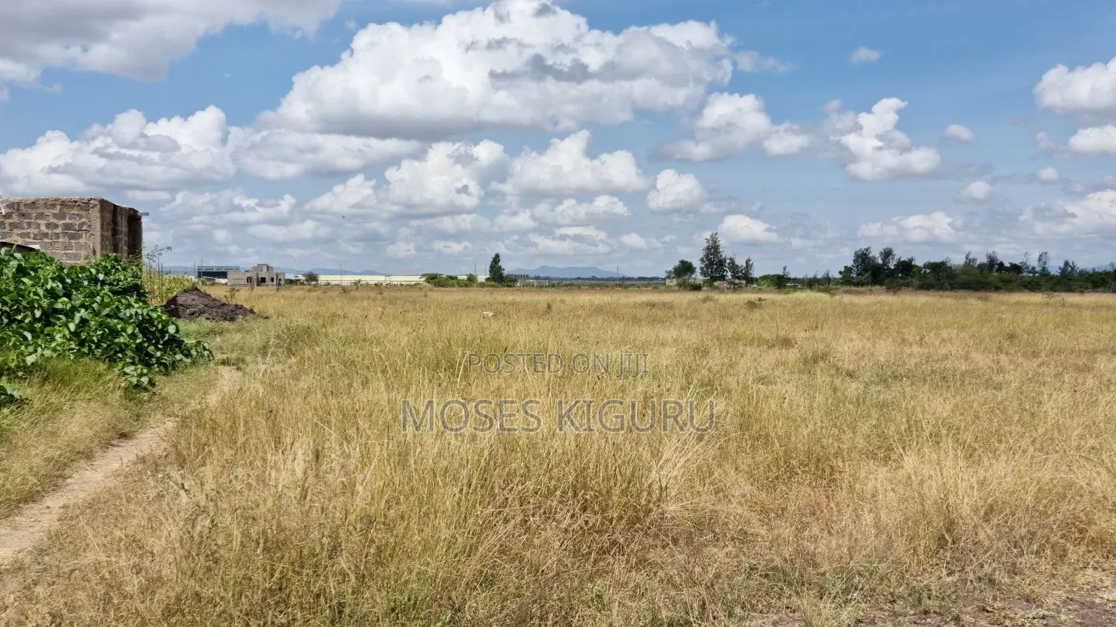 Jujafarm 50x80 Plots for Sale.