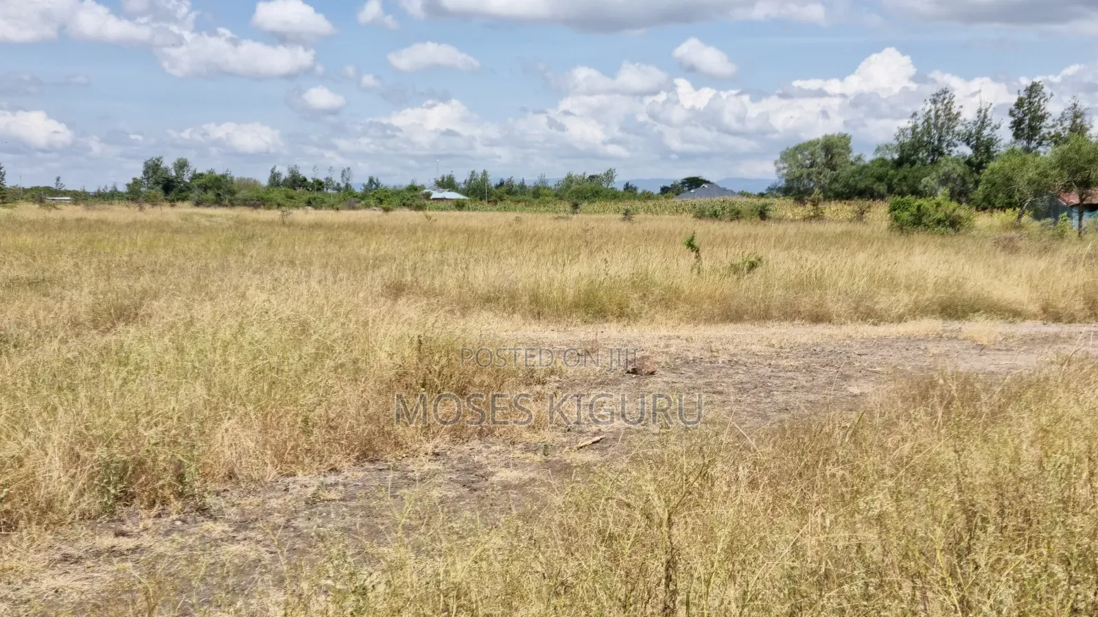 Jujafarm 50x80 Plots for Sale.