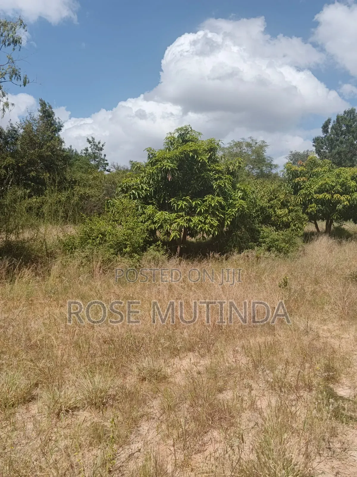 2.5acres at Makutano
