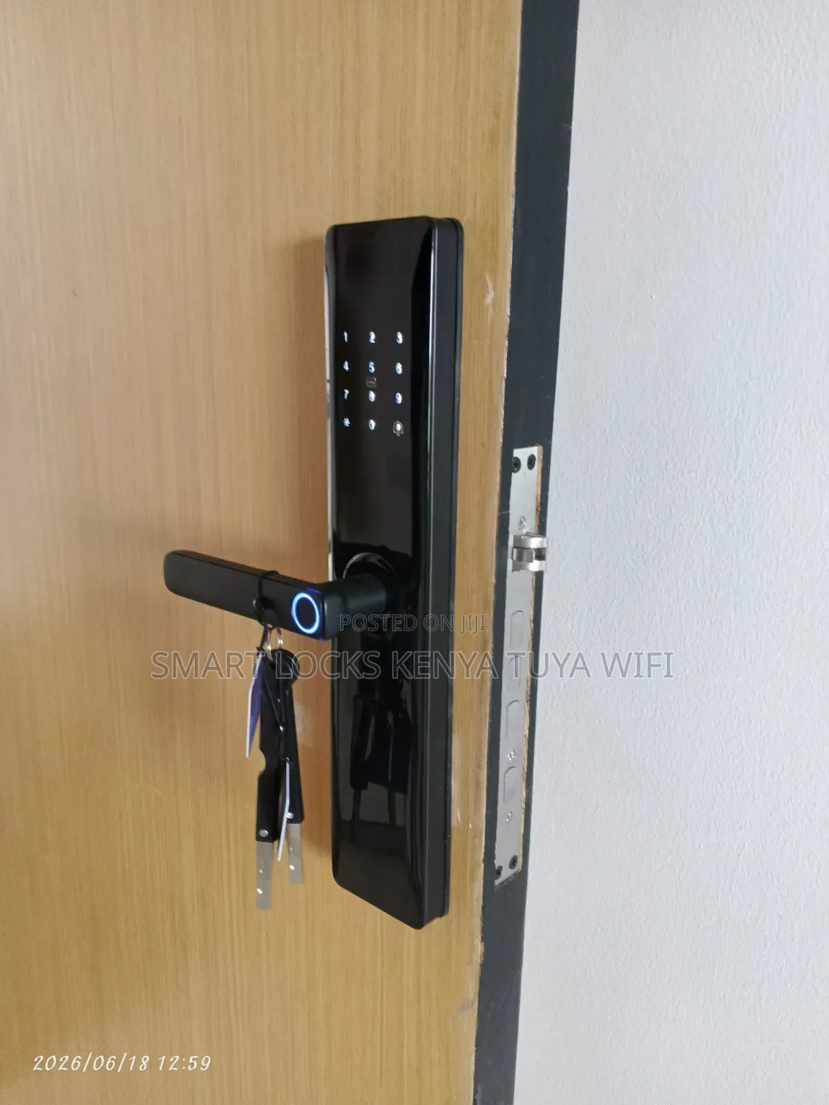 Tuya Wifi Smart Lock With Fingerprint ,Card,Password and App Control
