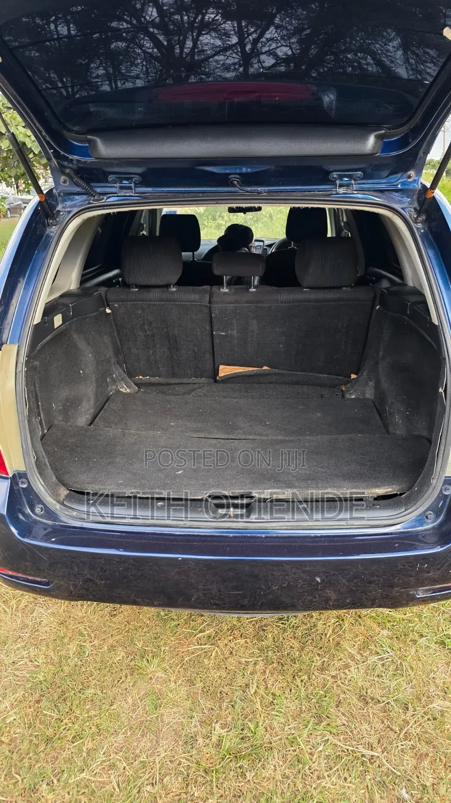 Toyota Corolla Fielder 2008 Blue