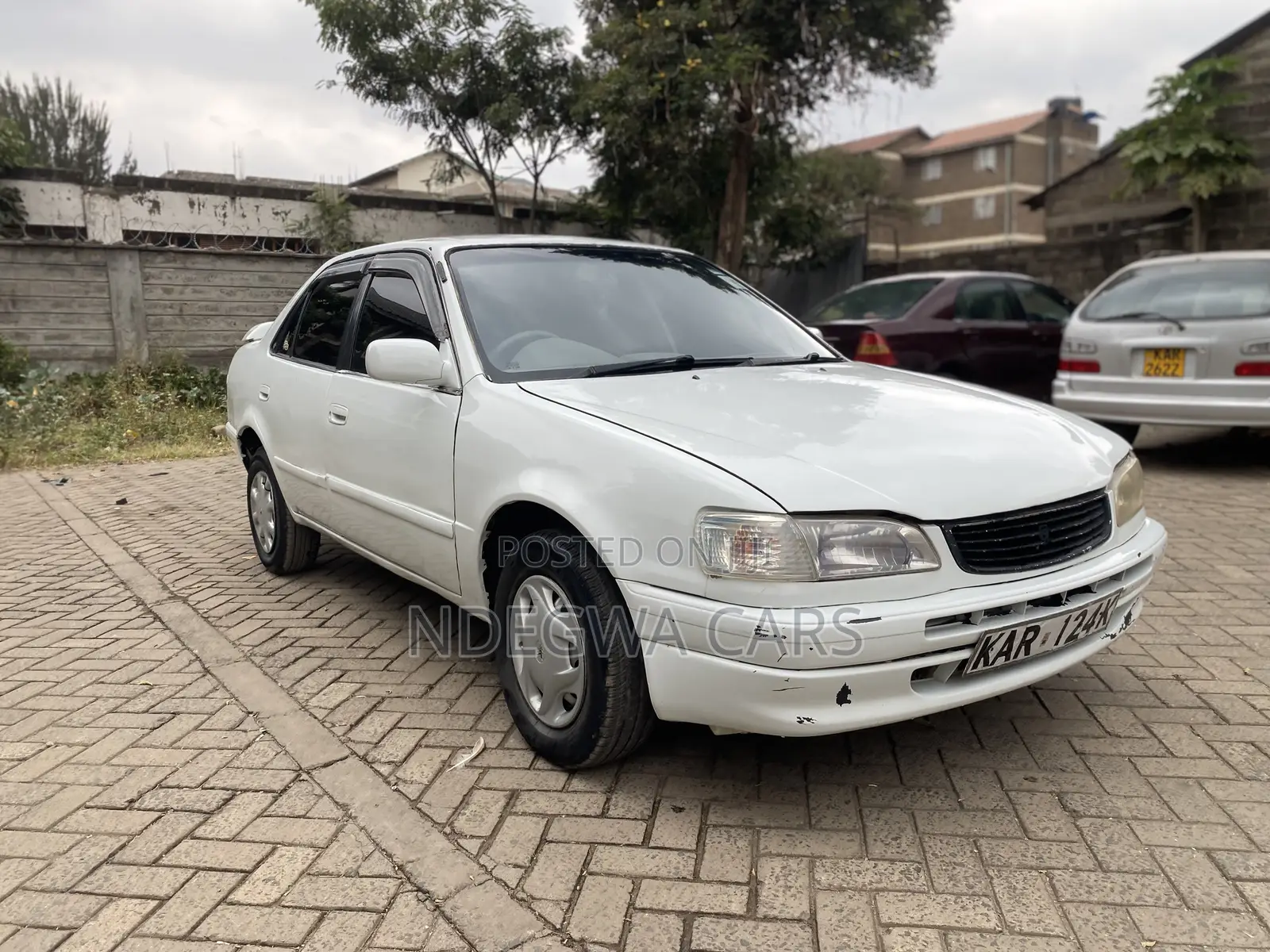 Toyota Corolla Sedan 1999 White