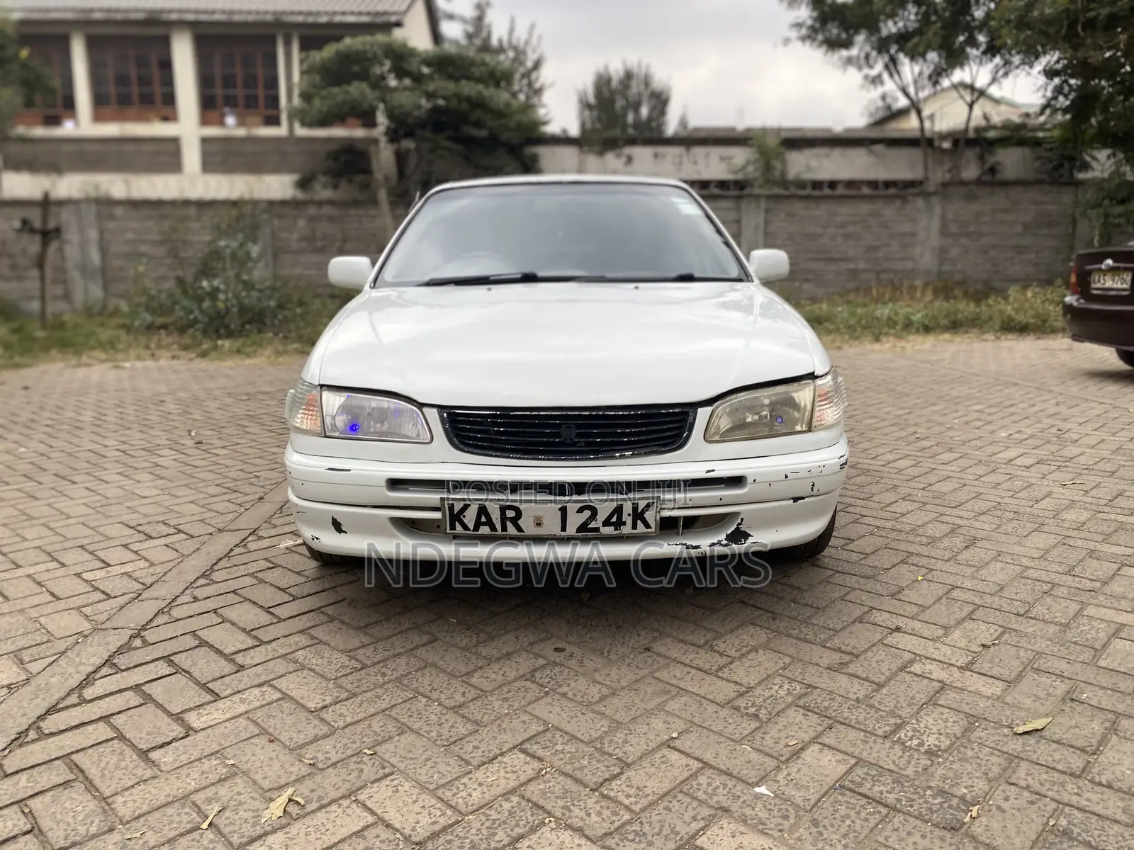 Toyota Corolla Sedan 1999 White