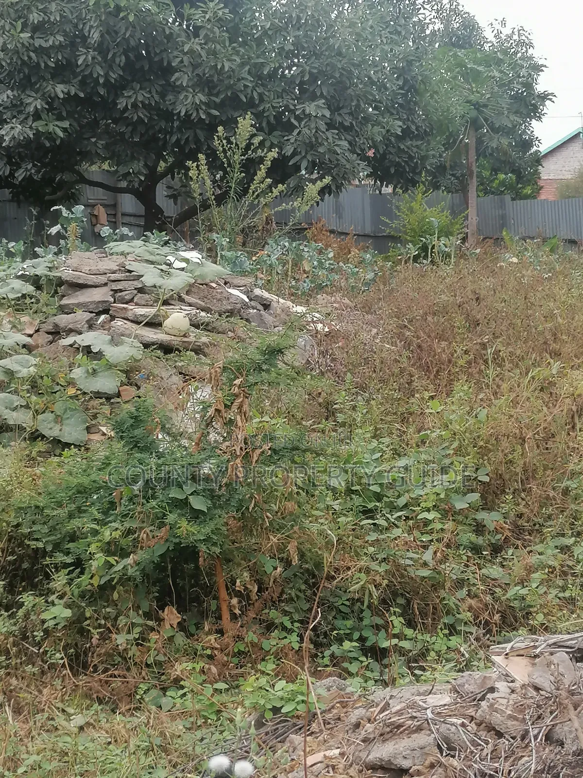 Kahawa Sukari Prime Residential 1⁄4 Acre Plot for Sale With Title
