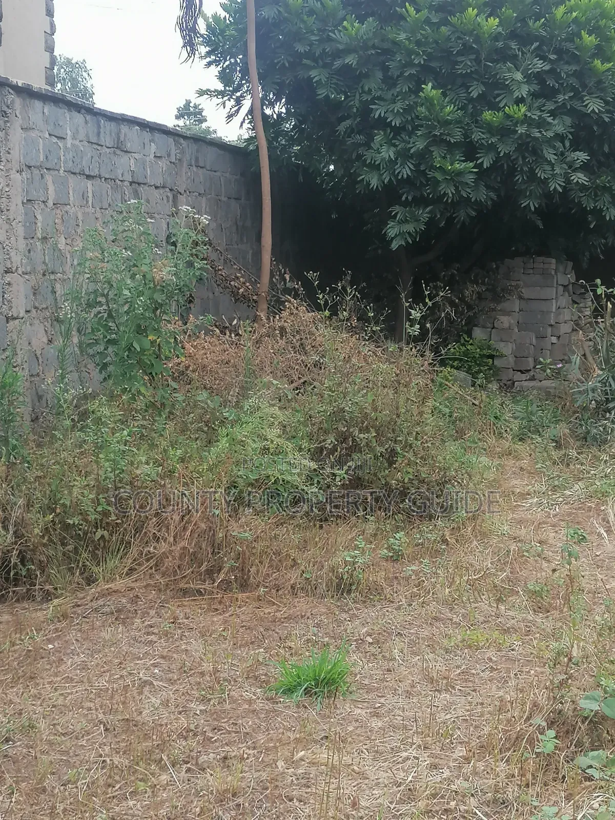 Kahawa Sukari Prime Residential 1⁄4 Acre Plot for Sale With Title
