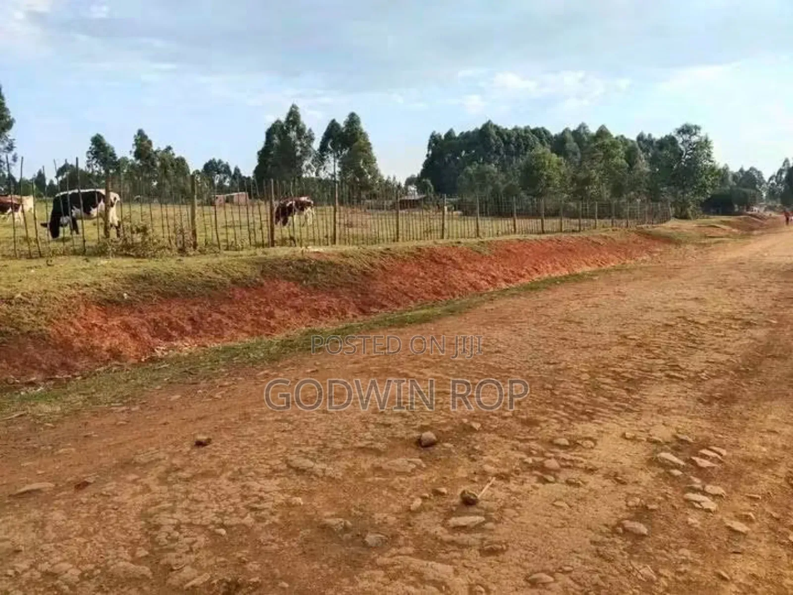 1⁄8 Plots for Sale in Kabongo Kapsaret Eldoret.