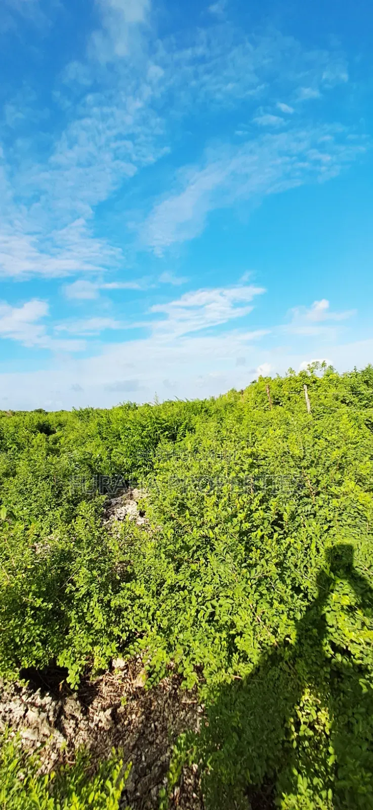 For Sale 4 Acres 2nd Raw Land Watamu