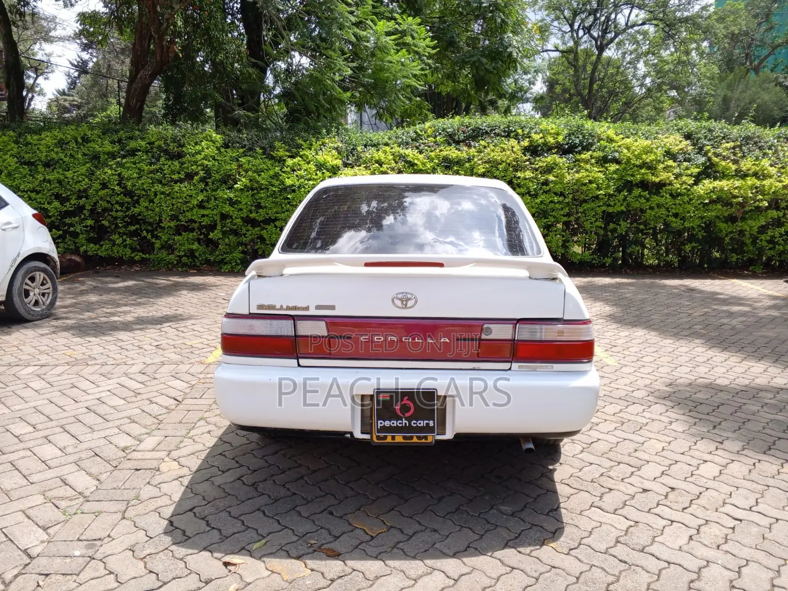 Toyota Corolla 1994 White