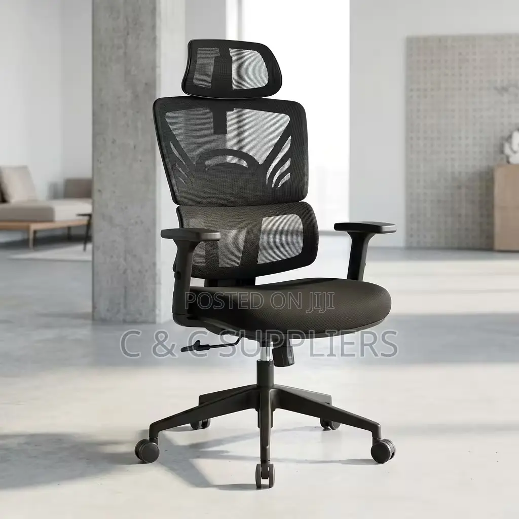 Orthopedic Reclining Modern Chair