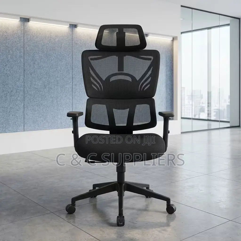 Orthopedic Reclining Modern Chair
