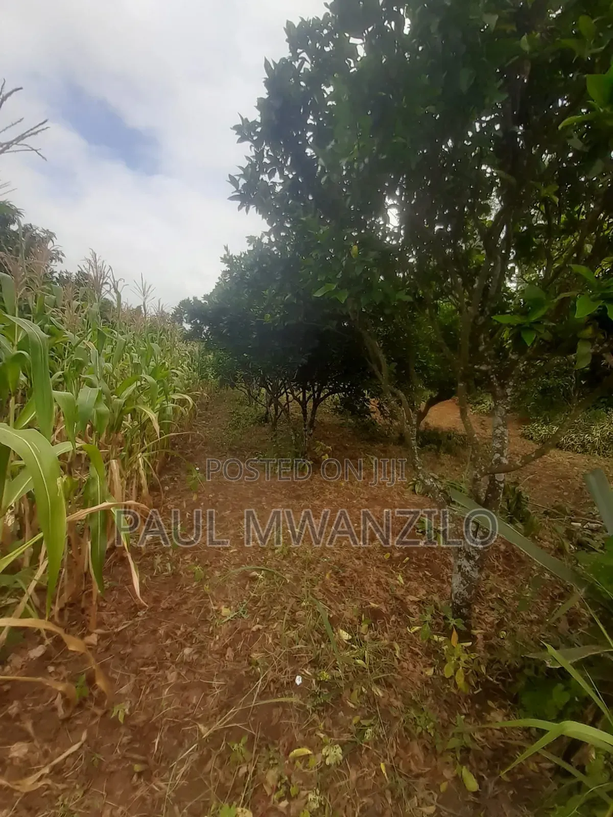 Land on Sale