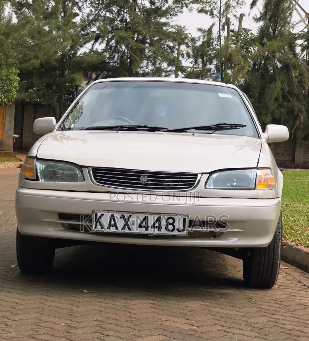 Toyota Corolla 1999 White 