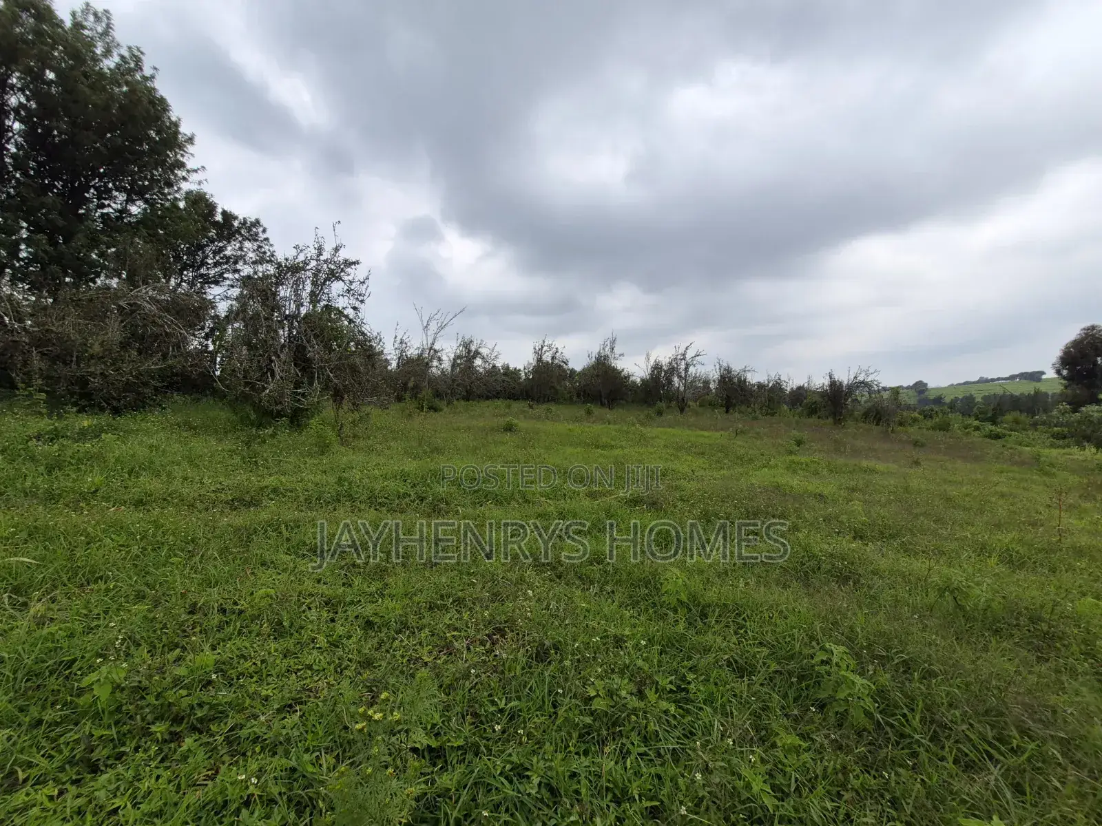 3 Acres of Land for Sale in Riara Ridge,Tigoni at KSHS