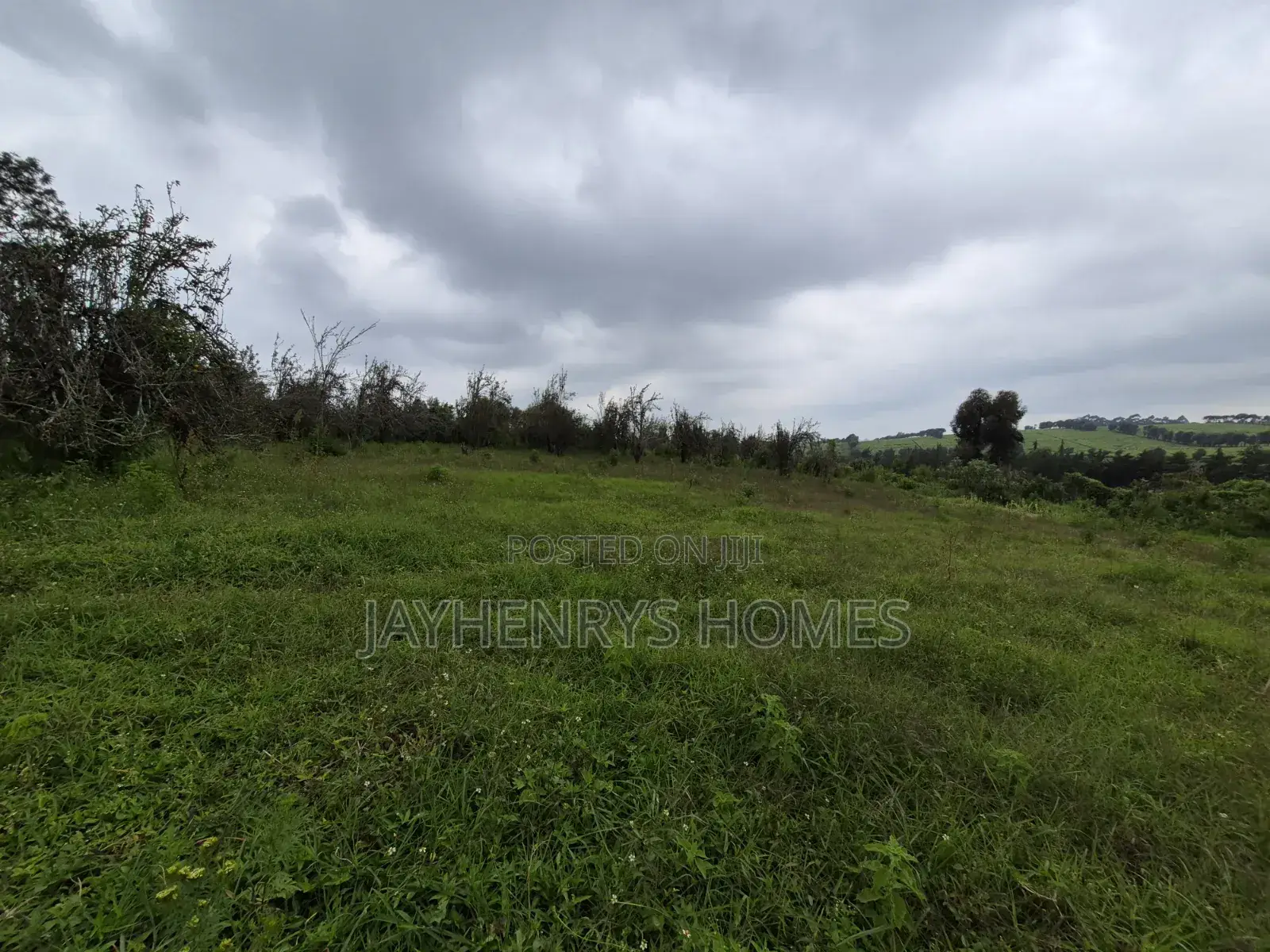 3 Acres of Land for Sale in Riara Ridge,Tigoni at KSHS