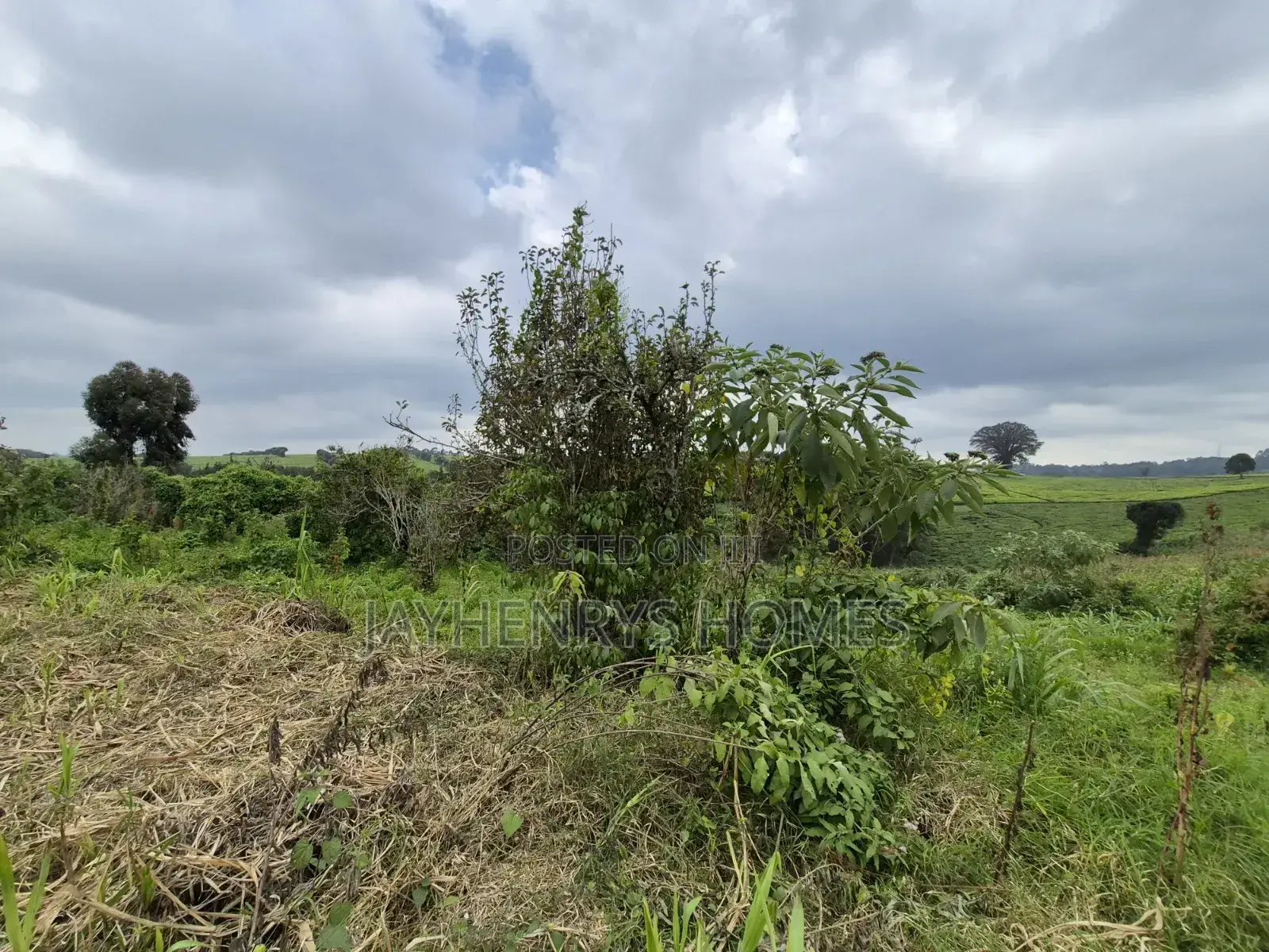 3 Acres of Land for Sale in Riara Ridge,Tigoni at KSHS